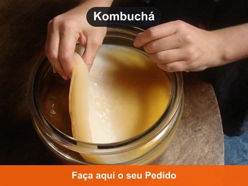 Kombuchá - Doação de Kefir em Mâncio Lima - AC